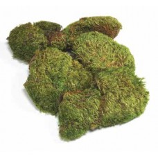 MOOD MOSS (BULK)